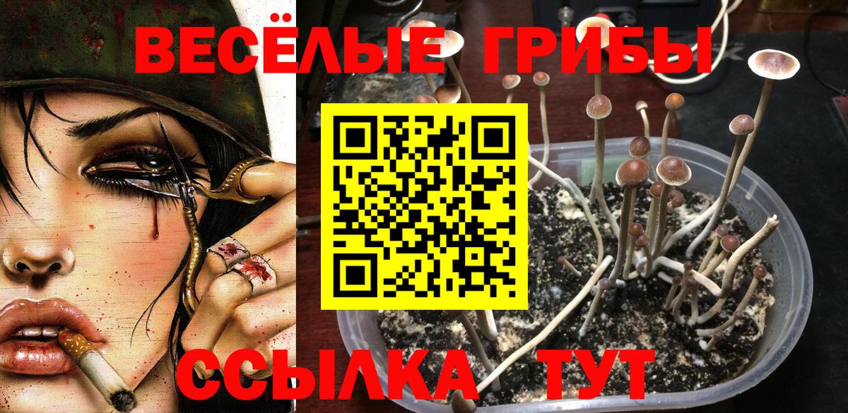 Галлюциногенные грибы мухоморы  Галлюциногенные грибы Psilocybe  Кимовск  Вход с VPN 